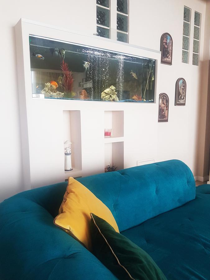 Classic Apartment Braşov Esterno foto